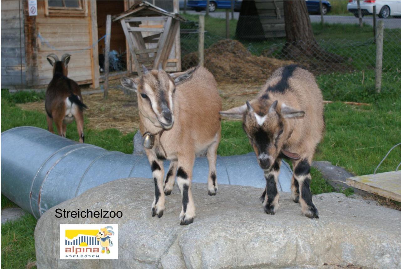 Ferien- Und Familienhotel Alpina Adelboden Bagian luar foto