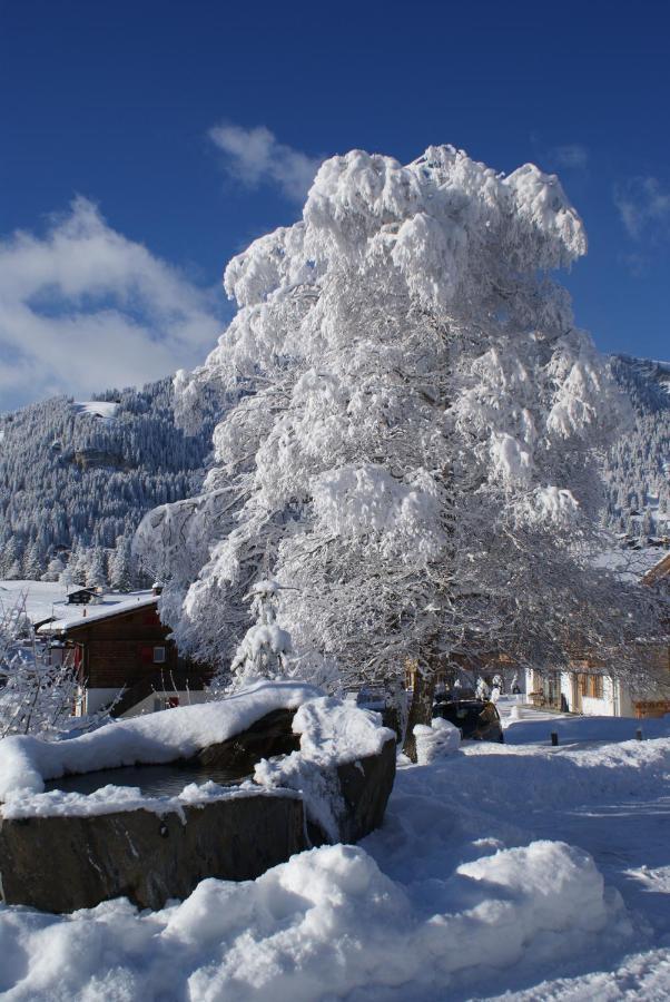 Ferien- Und Familienhotel Alpina Adelboden Bagian luar foto