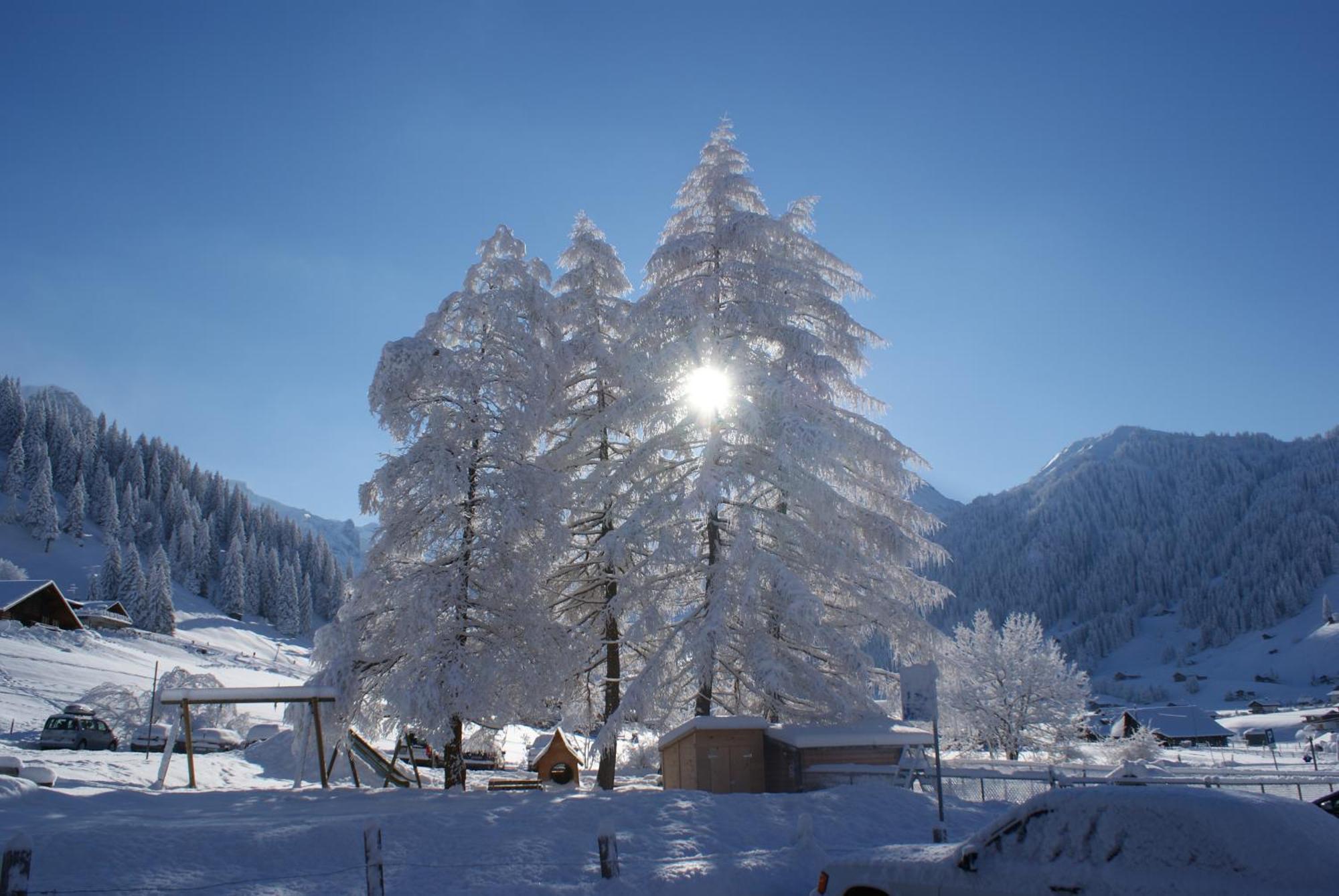 Ferien- Und Familienhotel Alpina Adelboden Bagian luar foto